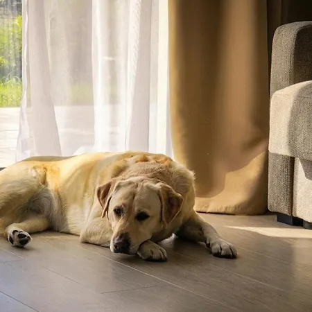 Luna - Twoj Azyl Nad Jeziorem Bialym Ferienhaus